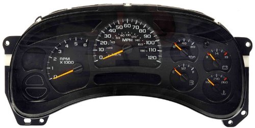 Dorman 599-300 Calibrated Mileage And Vin Gauge Panel #TOP1