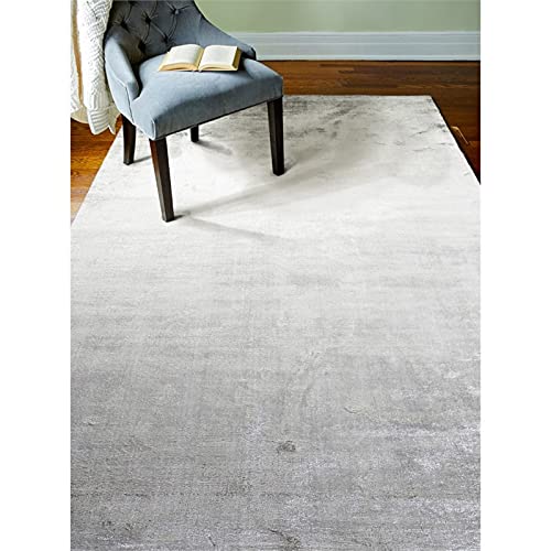 Bashian Radiance Collection Wz Hand Loomed 100% Banana Silk Area Rug 3.9X5.9 Oyster #TOP5
