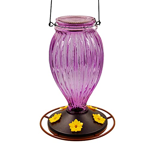 Juegoal Glass Hummingbird Feeders For Outdoors - 37 Oz Wild Bird Feeder 5 Feeding Ports, Bud Shaped Metal Handle Hanging For Garden Tree Yard Outside Decoration, Violet #TOP7