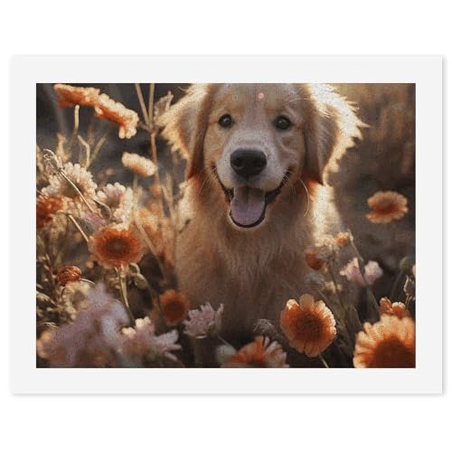 Kit peinture par numéros Golden Retriever 30x40cm toile pour adulte débutant