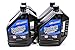 Maxima 49-479128 Pro Gear Oil Case