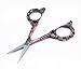 Yueton Vintage European Style Plum Blossom Needlework Embroidery Scissors (Copper)