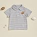 Toddler Baby Boy Lapel Collar Striped Print Polo Shirt Short Sleeve Embroidery T-Shirt Tees Tops Summer Clothes (A-Grey, 2-3 Years)