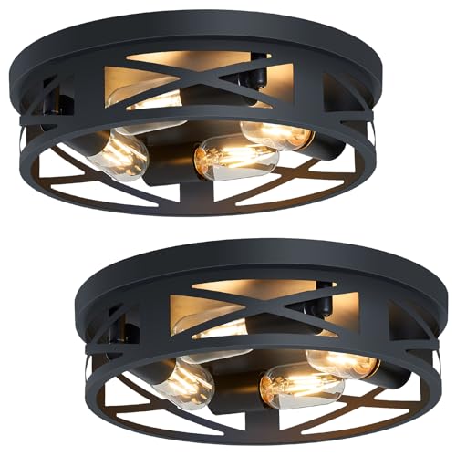 SKEJAO Flush Mount Ceiling Light Fixture,14 inch 4-Light Ceiling Light