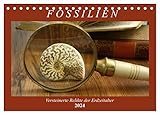 Einen Querschnitt durch die Vielfalt der Fossilien , von Autor(in): Anja Frost