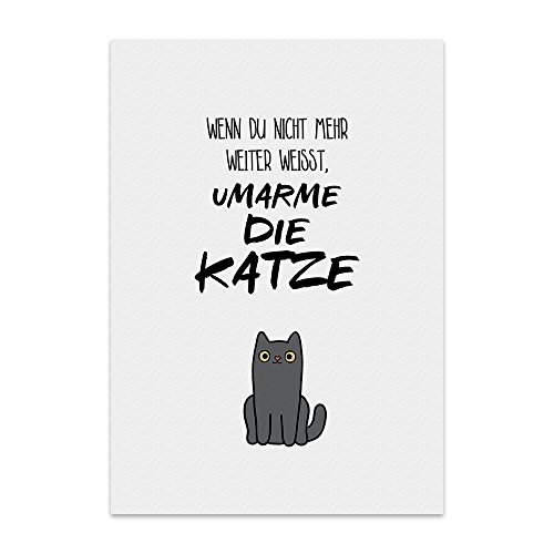 Kunstdruck, Poster mit Spruch – UMARME DIE Katze – Typografie-Bild auf hochwertigem Karton - Plakat, Druck, Print, Wandbild