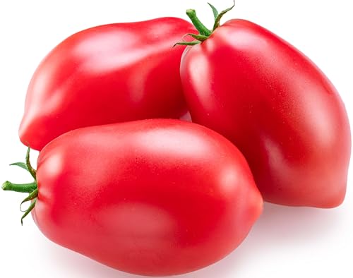 300+ Roma Tomato Seeds - Heirloom Non-GMO USA Grown Premium Seeds for Planting by RDR Seeds