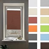 Plissee Ohne Bohren 90 x 25 cm Lichtdurchlässig Sichtschutz Und Sonnenschutz Plisseerollo mit Klemmträger Up-Down Funktion inkl Klemmträger für Fenster Und Tür, Braun