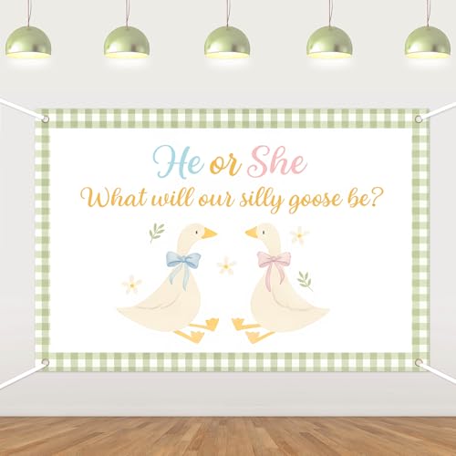 Décoration gender reveal oie pour baby shower fille ou garçon
