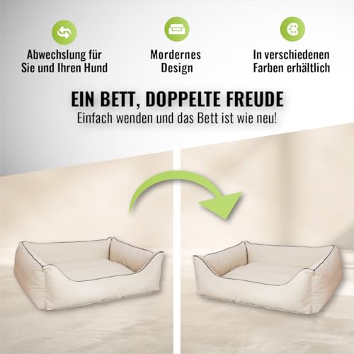 CopcoPet Hundebett kleine Hunde – Waschbares Hundekissen 【Wendebett】 Hundekorb aus Kunstleder - Formstabiles Hundesofa - Hundekörbchen mit erhöhten Rand, Dog Bed Beige 80 x 60 cm