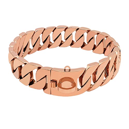 Colliers De Chaîne De Chiens Métalliques : Avis Complet et Fiabilité Tests