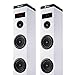 NGS Sky Charm White- Torre de Sonido Bluetooth 50W con Mando a Distancia Imagen de NGS Sky Charm White- Torre de Sonido Bluetooth 50W con Mando a Distancia