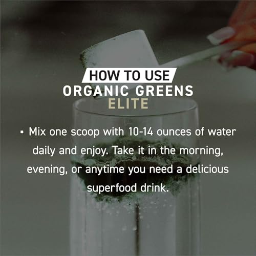 Image of Kaged Organic Greens Elite, Superfood and Greens Powder with Apple Cider Vinegar, Adaptogen, Prebiotics, Vitamins & Minerals, Berry, 30 Servings