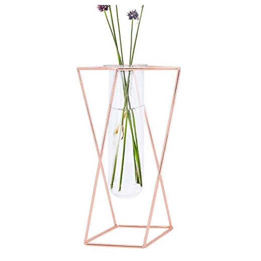 TAECOOOL Décorations de Vase en Tube à essai en Verre de Table avec Cadre en métal géométrique en Or Rose, vases géométriques pour Fleurs dans Le Centre de Table Basse de Bureau d'étude (L-24CM)
