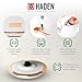 Haden Heritage 1.7 Liter Stainless Steel Electric Kettle, Hot Water Kettle with 360-Degree Base and Auto Shutoff, Ivory & Copper
