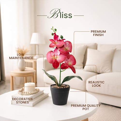 Image of Habere India-All the Cultures Fabricating India Red Orchid Artificial Plant with Pot for Home Decor | Small Fake Plant for Living Room & Indoor Decoration (Design05: L9 x W9 x H32 cm)