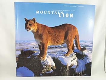 Paperback Mountain Lion Book