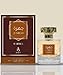 AYAT PERFUMES Oud Collection - Eau de Parfum de 100 ml, fragancia árabe, para hombres y mujeres, una sensual fragancia oriental diseñada y fabricada en Dubái (Khamrah Qahwa)