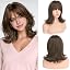 Brown with Highlights