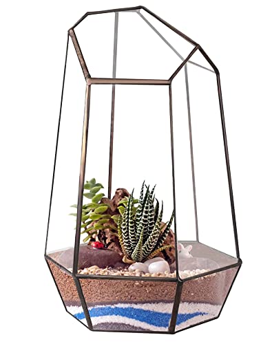 Glass Geometric Plant Terrarium,Succulent & Air Planter For Indoor Tabletop Home Office Decoration,Display Planter Succulent Holder Flower Pot Diy, 9.8" Height,No Plants Included(Black Irregular) #TOP4