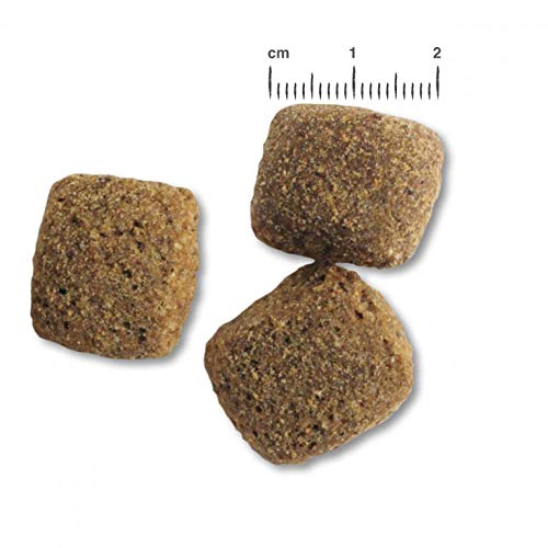 Belcando Adult Active 2 x 12,5 kg Sparpaket - Hundefutter Trockenfutter