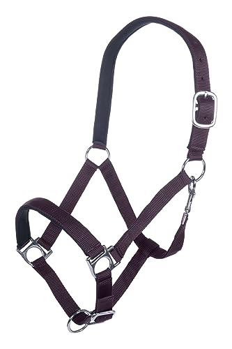 Ropa Kaltblut HKM Stars lila que evita rozaduras en caballos robustos