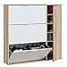 HOMN LIVING Zapatero 4 Puertas Dana Color Roble/Blanco, 106 cm (Ancho) 22 cm (Profundo) 115 cm (Altura)