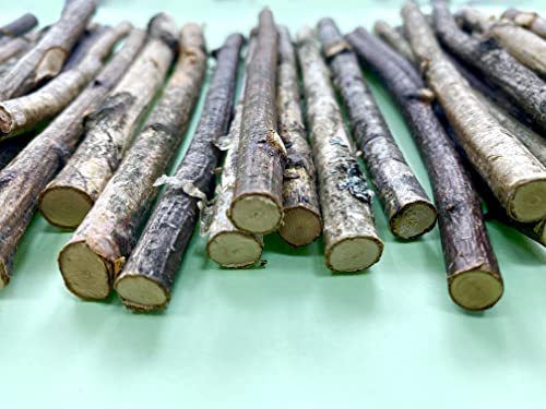 ECOVENIK - 200 g, Wood Sticks for Crafts - 6 Inch Birch Wood Craft Sticks - Natural Twigs Sticks for Crafting, DIY School Projects, Card Making, Embellishments & Photo Props (200 g)