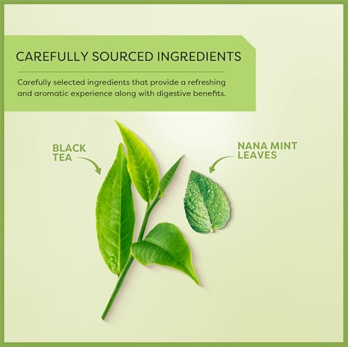 Wissotzky Nana Mint Black Tea, (3 Pack - 60 Tea Bags) | Antioxidant Rich | Revitalizing Nana Tea | Black Tea Bags