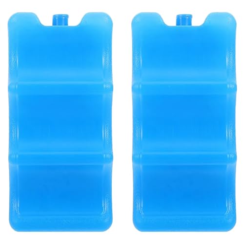 Glacières portables toujours fraîches grâce au lot de 2 boîtes à glace réutilisables