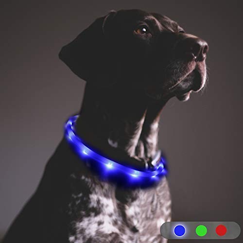 Toozey LED Dog Collar, 20 Hrs Runtime, USB Rechargeable, IP68 Water & Cold Resistant, 3 Modes Light Up Collar for Pet Night Safety, One Size Fits All Dogs & Cats, 10-27.5
