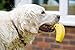 Petface Latex Banana Hundespielzeug, weiches Kauspielzeug, klein