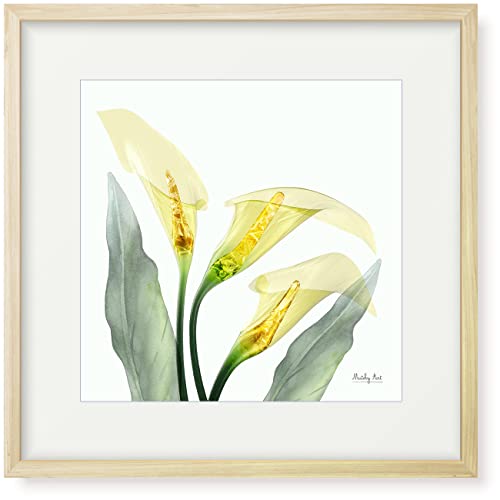 GuFvCeA G  A[gpl z(c32cm x 32cm)