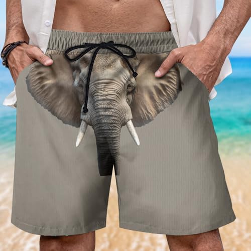 Funny Mens Swim Trunks - Trunk Hawaiian Mens Shorts Casual - Naughty Summer Drawstring Beachwear Shorts PA142