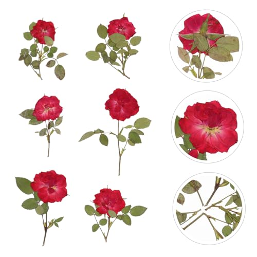 Flores secas rosas para decoración y manualidades miniatura 2