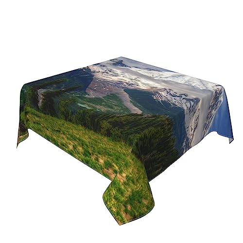 Nappe imperméable et infroissable décorative pour table