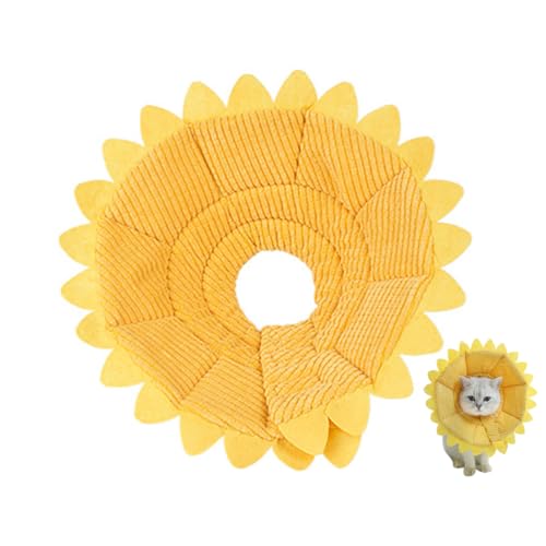 POPETPOP LpJo[R[J[ - ߉\ȂЂ܂ GUxX̌̎ 킢\tgRbg ybgR[ Lƌ pی (XL)