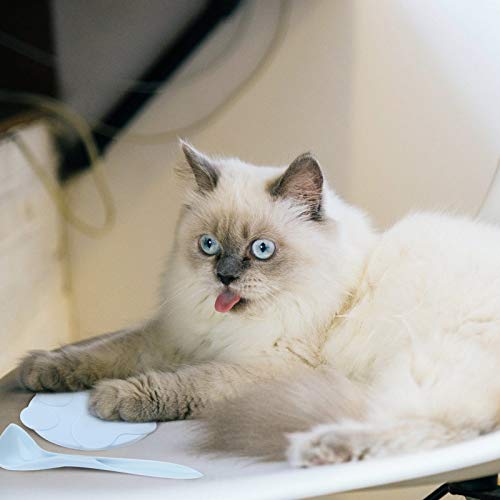 Tampa de lata para gatos de estimação, colher de alimentação com tampa vedante universal (tampa azul