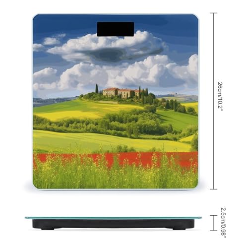 Báscula digital de baño con vidrio templado y pantalla LED miniatura 2