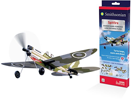 Smithsonian P-51 Mustang Flyer