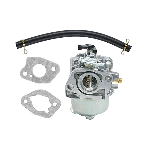 Carburateur de rechange pour tondeuse SV150 et entretien du jardin
