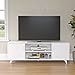 Panana Modern TV Stand, Entertainment Center Television Stands Console with 2 Doors & Shelves Media Console (White, 63