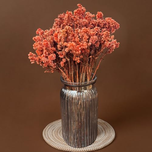 Image of Himalayan Daisy Dried Flowers | Natural Dried Blooms| 70 Grams | Naturally Preserved, Delicate & Everlasting | Perfect for Home Decor, Floral Arrangements, Bouquets & DIY Crafts(Orange)