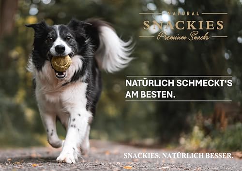 SNACKIES 16er-Pack (à 170g) Hundeleckerli Rindfleischstreifen Premium Snacks für Hunde ohne Zusatz von Getreide, Zucker, Farb-, Aroma- und Konservierungsstoffe, luftgetrocknete Leckerli