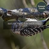 Natural Lands
