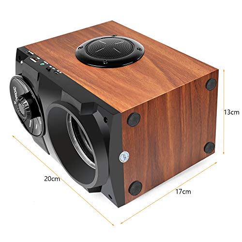 TAMPROAD Portable Bluetooth Speakers with woofer, FM Radio, LED Lights, EQ, Booming Bass, Bluetooth 5.0 Wireless Stereo Powerful Outdoor/Indoor Party Speakers for Home, Camping, Travel