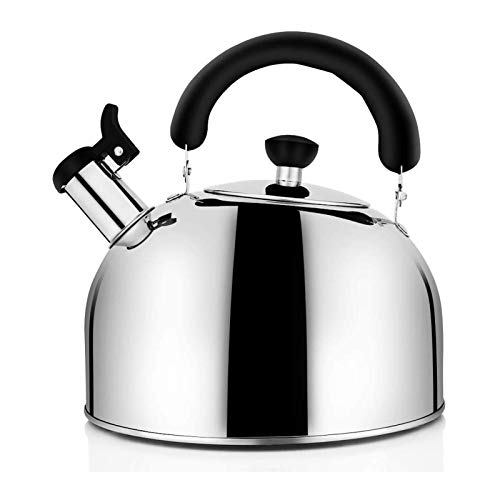 Théière sifflante en acier inoxydable avec poignée ergonomique pour induction et gaz