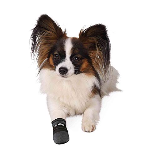 TRIXIE Wasserabweisende Hundeschuhe Pfotenschutz Walker Care, S, 2 St., schwarz- 1956 (Packung mit 3)