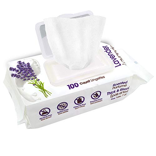Best Pet Supplies 8″ x 9″ Pet Grooming Wipes for Dogs & Cats, 100 Pack