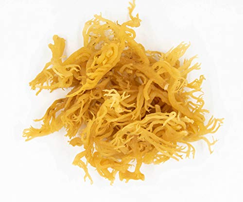 Karibbean Flavours Premium Irish Moss Superfood (8 Ounce/230g)